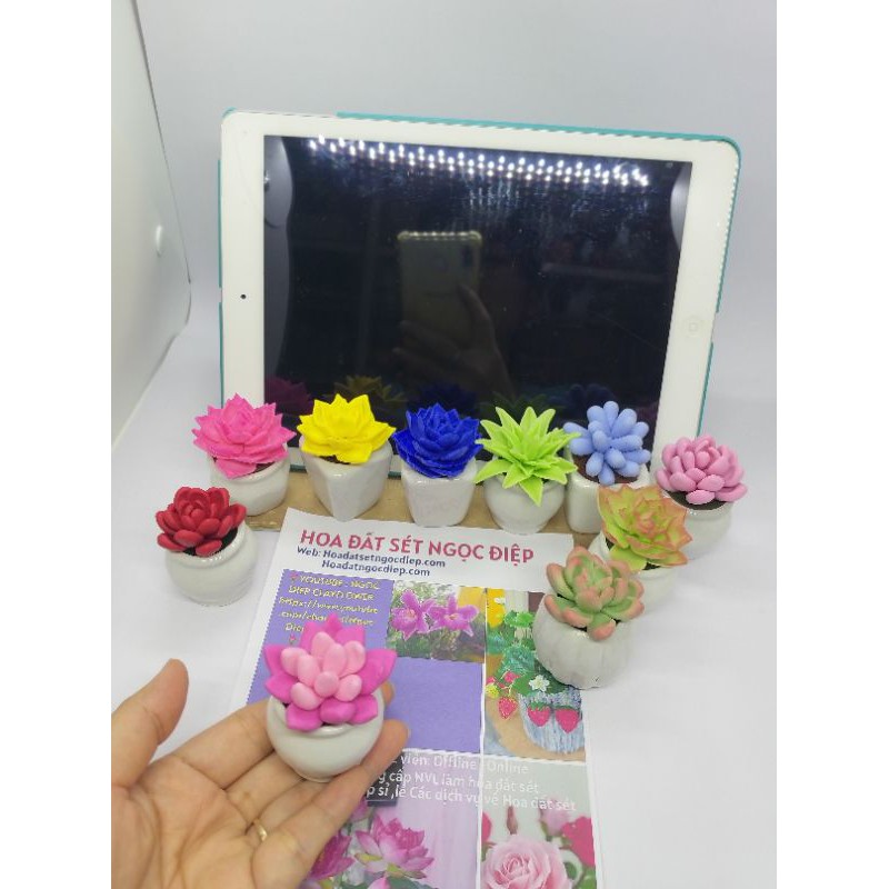 SEN ĐÁ MINI,Giao mẫu ngẫu nhiên