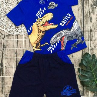 Bộ cotton khủng long bé trai