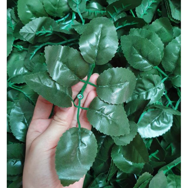 100gr lá hoa hồng và lá nhí