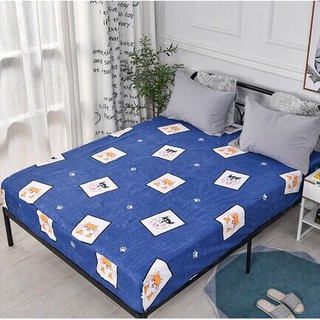 Ga chống thấm cotton💖TẶNG VỎ GỐI💖Ga chống thấm cotton 100%