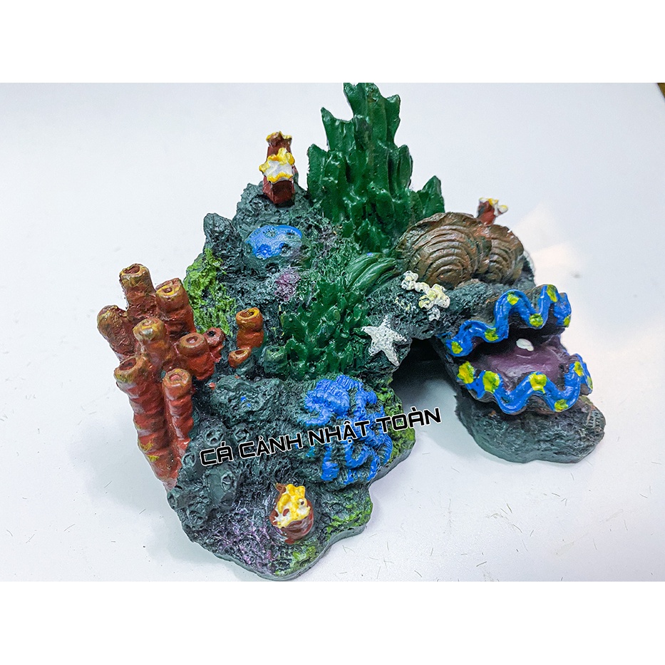 TIỂU CẢNH SAN HÔ ĐÀY BIỂN TRANG TRÍ BỂ CÁ TIỂU CẢNH 12X7X10CM