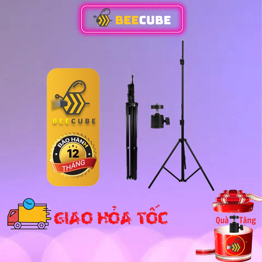 Tripod BEECUBE, chân đỡ điện thoại máy ảnh máy chiếu - Tặng kèm bi chỉnh hướng và kẹp điện thoại