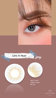 Lens Hàn Noble Gray có độ (0-5 độ)