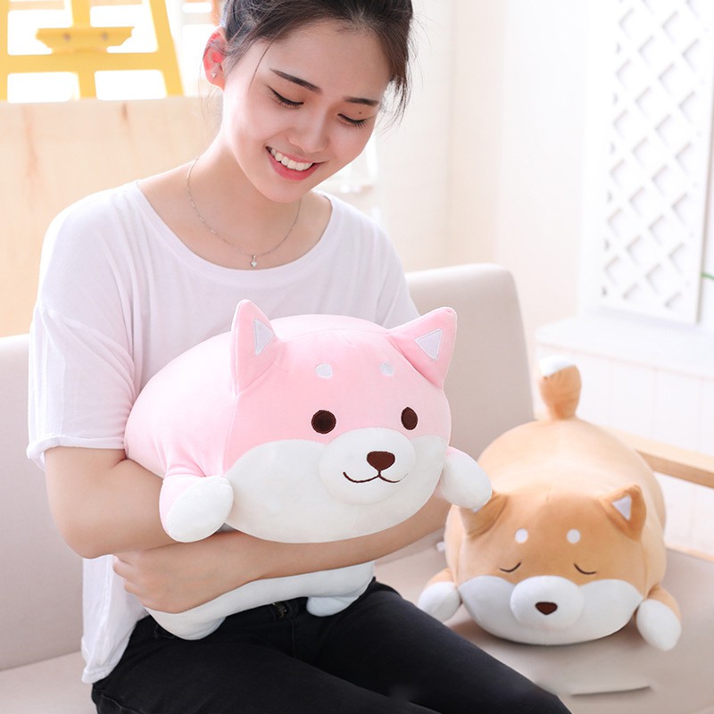 Chó bông Shiba inu