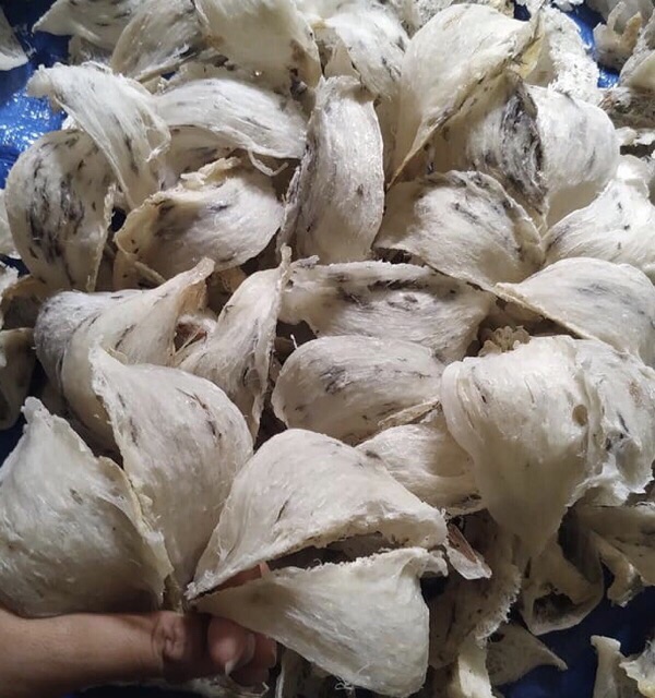 Yến sào tổ thô siêu ít lông loại vip 100g Nha Trang, Khánh Hoà +🎁🎁🎁