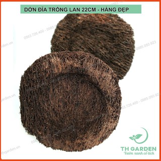 Dớn Đĩa Trồng Lan 22x22x5cm - Hàng Loại Đẹp - Chậu Dớn Tròn Trồng Lan To