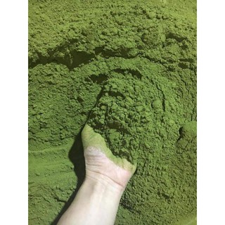 bột trà xanh nguyên chất 100g