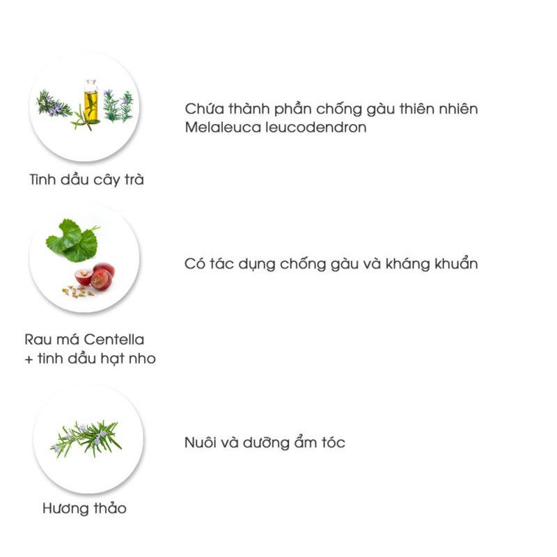 [HB- Gift] Dầu gội trị gàu, ngứa da đầu dịu nhẹ cho da Himalaya Anti-Dandruff Shampoo(Gentle Clean) 100ml | BigBuy360 - bigbuy360.vn