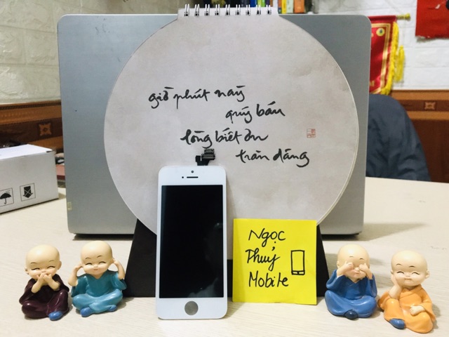 Màn thay thế cho 5 thường tặng kèm bộ sửa để tự thay màn | BigBuy360 - bigbuy360.vn