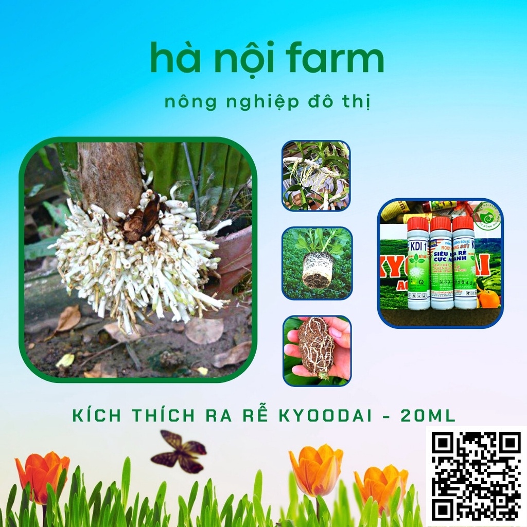 Kích thích ra rễ KYOODAI chuyên dùng cho tất cả các loại cây trồng, cây ăn quả,cây cảnh, - ống 20ml