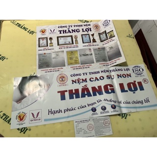 Nệm cao su Thắng Lợi gấp 3 ( Chính Hãng BH 15 Năm)