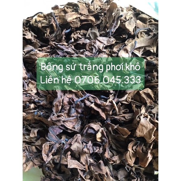 Hoa sứ trắng phơi khô 500 gam