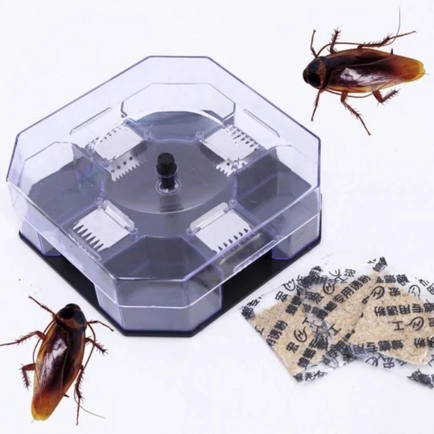 Bẫy bắt gián, côn trùng thông minh kèm mồi