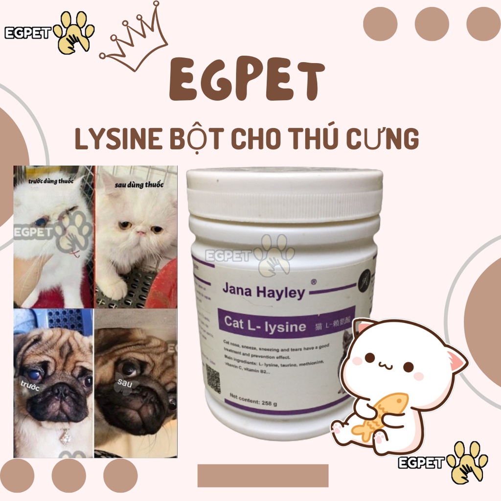 Lysine cho chó mèo, bị hô hấp, viêm phổi , giúp tăng cường miễn dịch, đề kháng