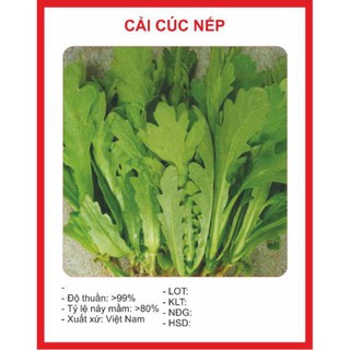 Hạt giống Cải Cúc 50 hạt