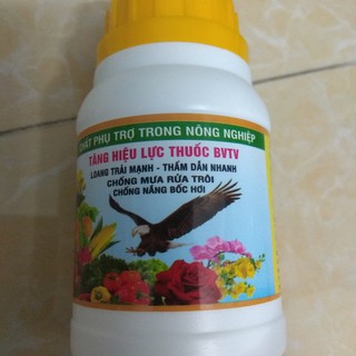 Chất Lưu Dẫn Đại Bàng
