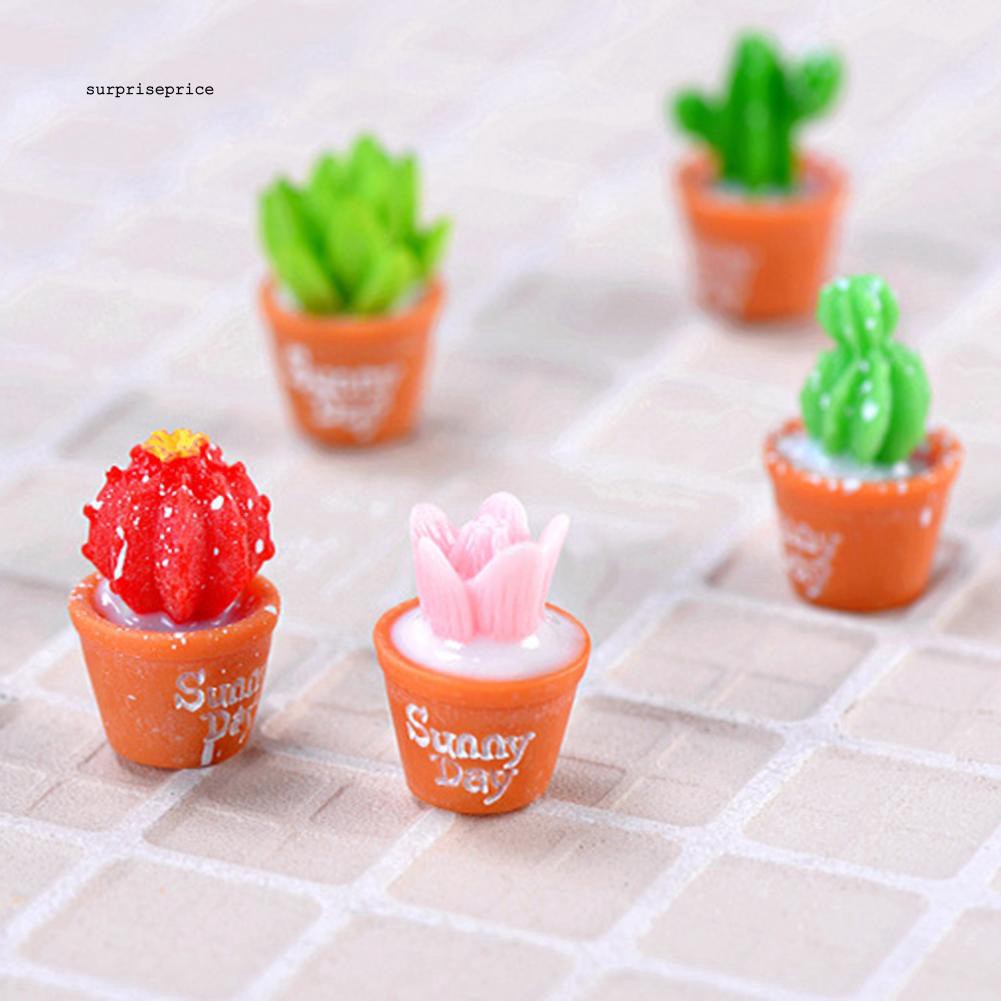 Bộ 2 mô hình cây xương rồng mini bằng nhựa chuyên dụng cho trang trí tiểu cảnh