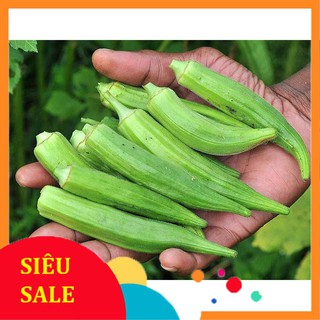 20g Hạt giống Đậu Bắp Cao Sản (tặng gói Kích nẩy mầm và Hướng dẫn)