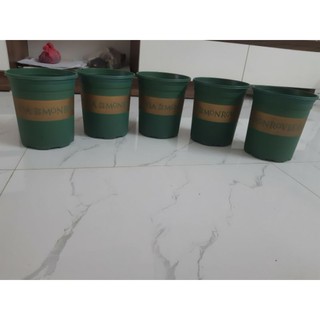 Chậu trồng cây Monrovia 1gl