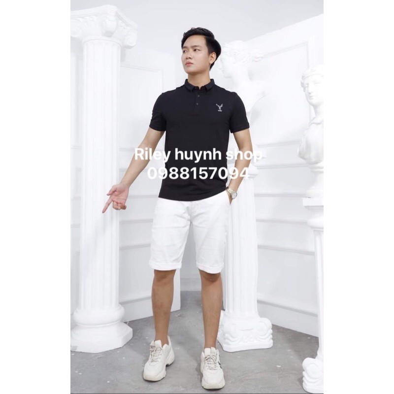 ÁO THUN COTTON COMBO 2 cái | BigBuy360 - bigbuy360.vn