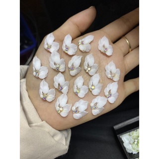 Hoa bột chân ảnh thật shop chụp