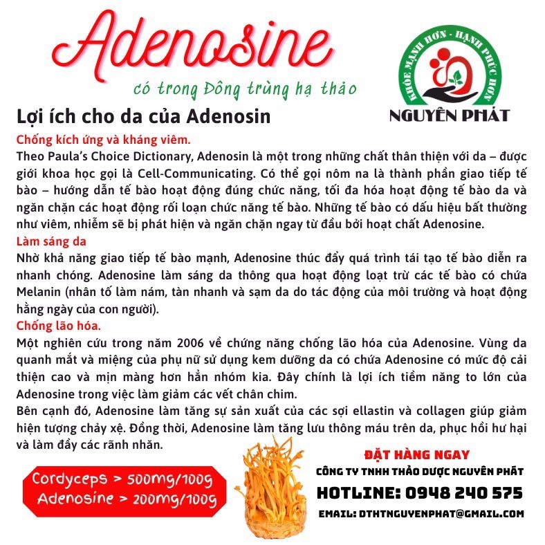 Đông Trùng Hạ Thảo sấy thăng hoa Nguyên Phát hộp 10 gram cao cấp - Bồi bổ cơ thể - Tăng sức đề kháng - Nấu canh, pha trà