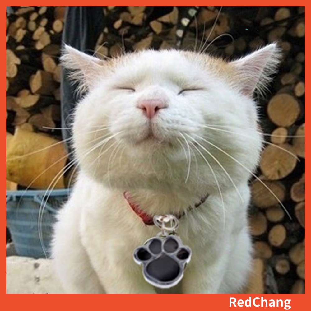 Thẻ Tên Đeo Cổ Chống Thất Lạc Cho Thú Cưng