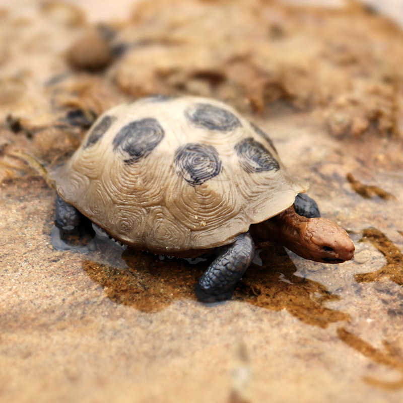 Mô Hình Rùa GOROCK Đồ Chơi Dưới Nước Thú Vị Cho Bé