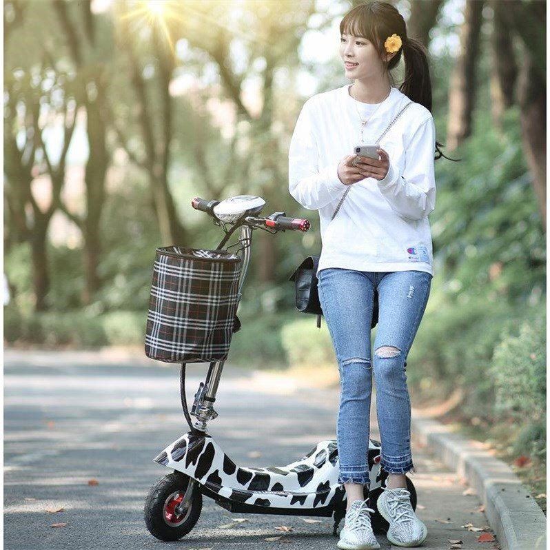 Xe điện mini gấp gọn Scooter Dolphin chính hãng