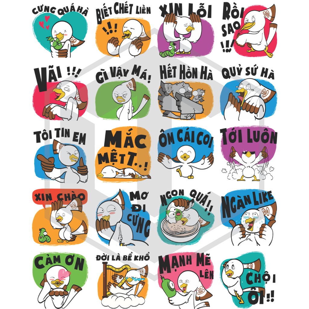 Sticker facebook Chin & Su decal Shin Lung không thấm nước, dán nón bảo hiểm, laptop, điện thoại, Vali, xe...