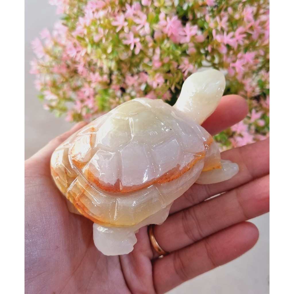 Cụ Rùa ngọc Pakistan bằng đá tự nhiên size 8cm