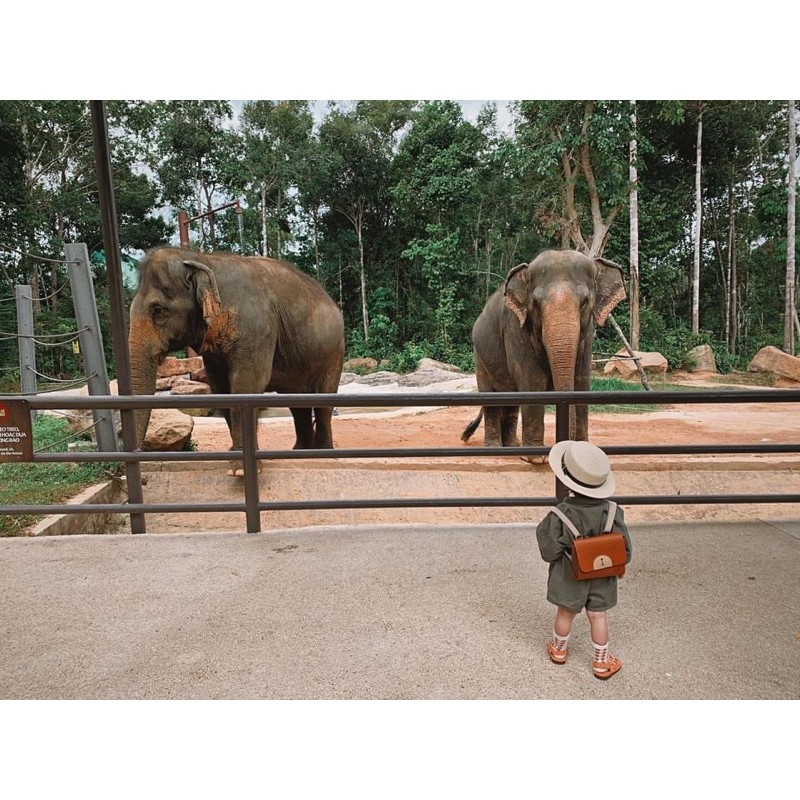 Balo gấu xinh xắn Kids Korea