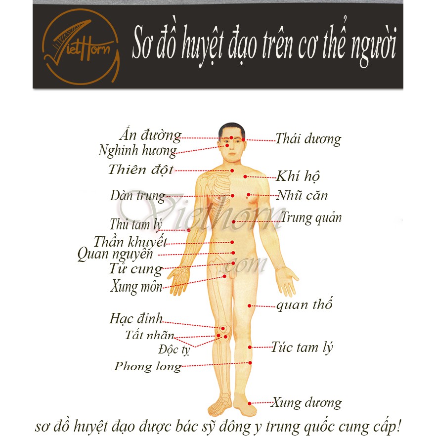 Mát Xa chăm sóc da bằng sừng VIETHORN /spa /làm đẹp /giải stress /lưu thông khí huyết
