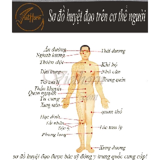 Nuôi Dưỡng Tâm Hồn - Món Quà Vô Giá