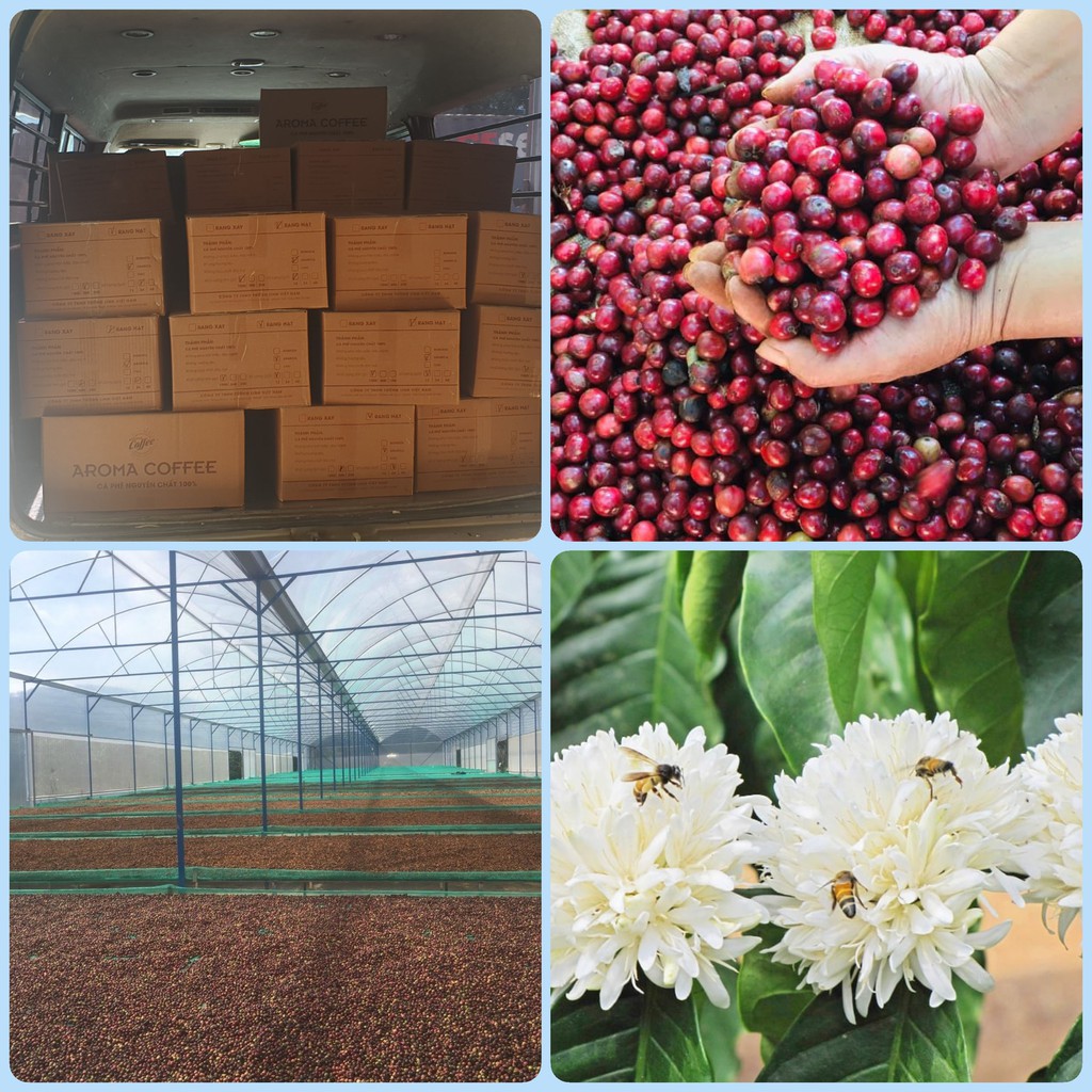 [Mã GROXUAN1 giảm 8% đơn 150K] [ Gói 500Gr ] Robusta _ Cà Phê Nguyên Chất Aroma Coffee | BigBuy360 - bigbuy360.vn