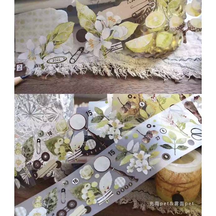 5 mẫu băng dính PET tape hoạ tiết hoa cổ điển nhà WILDBERRY.LAB