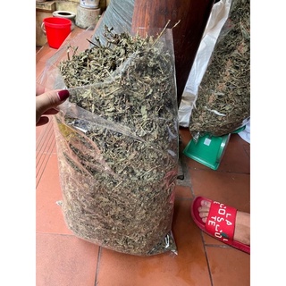 Cà gai leo 1kg