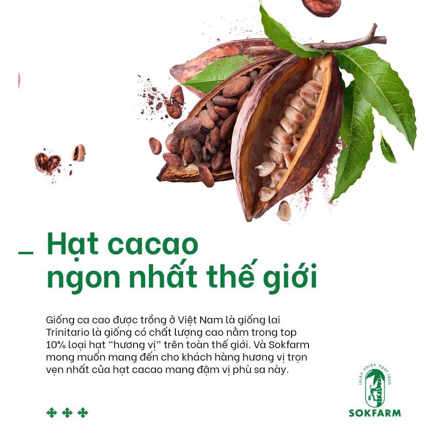 Hạt cacao sấy mật hoa dừa 75g