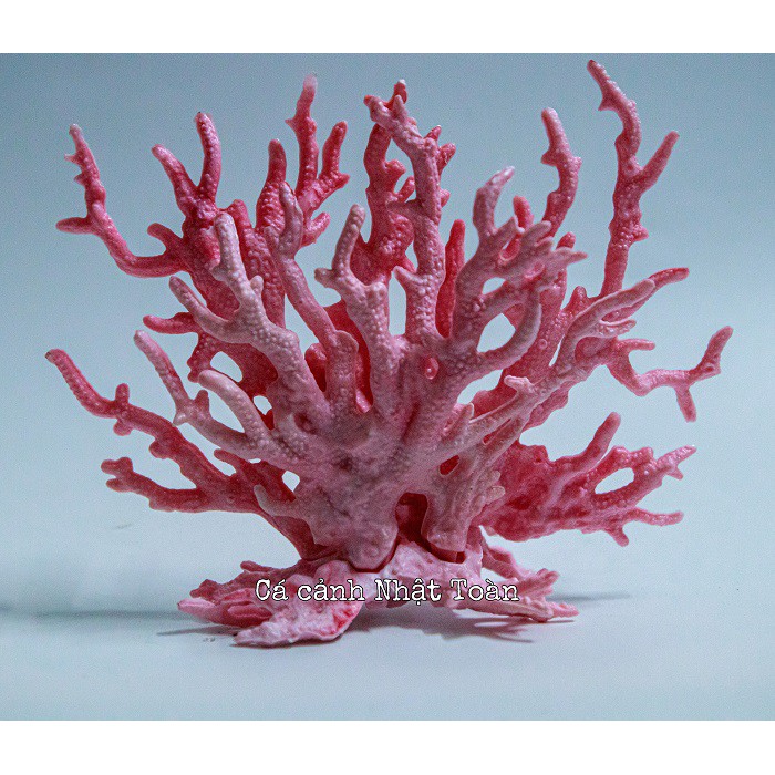 BỤI SAN HÔ GIẢ TRANG TRÍ BỀ CÁ 14x17cm