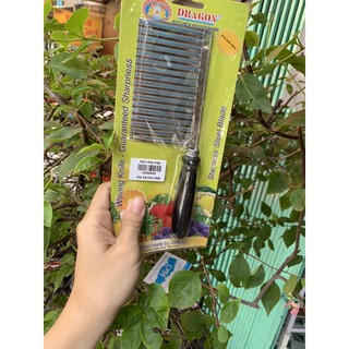 Dao răng cưa Cắt rau củ / rau câu/ dụng cụ nạp dừa