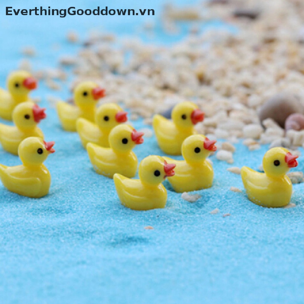 Everthinggooddown Set 6 Tượng Vịt Vàng Trang Trí Tiểu Cảnh