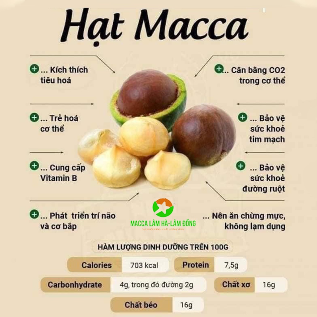 Hạt Macca 500G Nứt Vỏ Tây Nguyên Tăng Cường Sức Khỏe Tim Mạch, Giúp Cải Thiện Sức Khỏe Đường Ruột