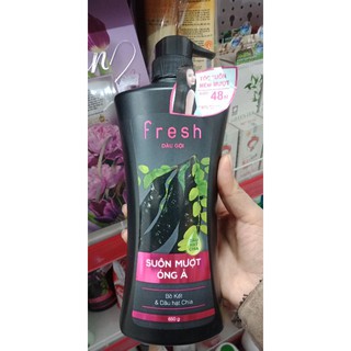 Dầu gội bồ kết fresh 650g