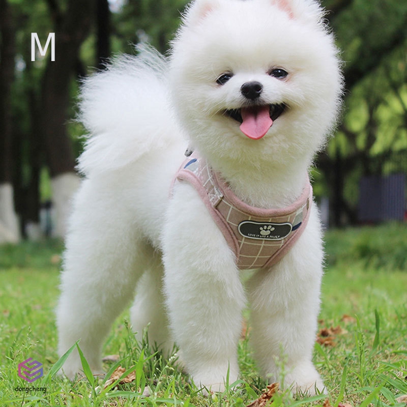 Áo vest mềm kèm dây dắt thú cưng đi dạo sáng tạo