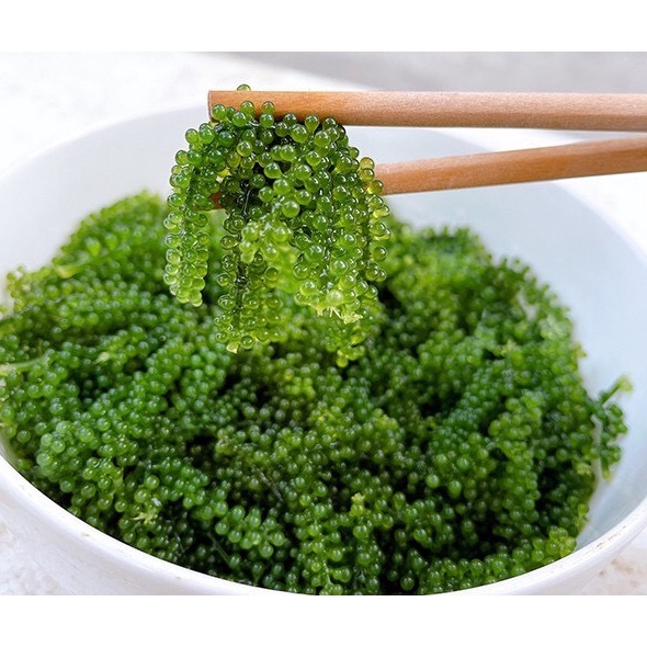 [ HCM ] 120g Rong Nho Tách nước  SEa grapes Hộp 6 gói X 20g + Tặng 2 Gói Xốt Mè Rang Kewpie 15ml