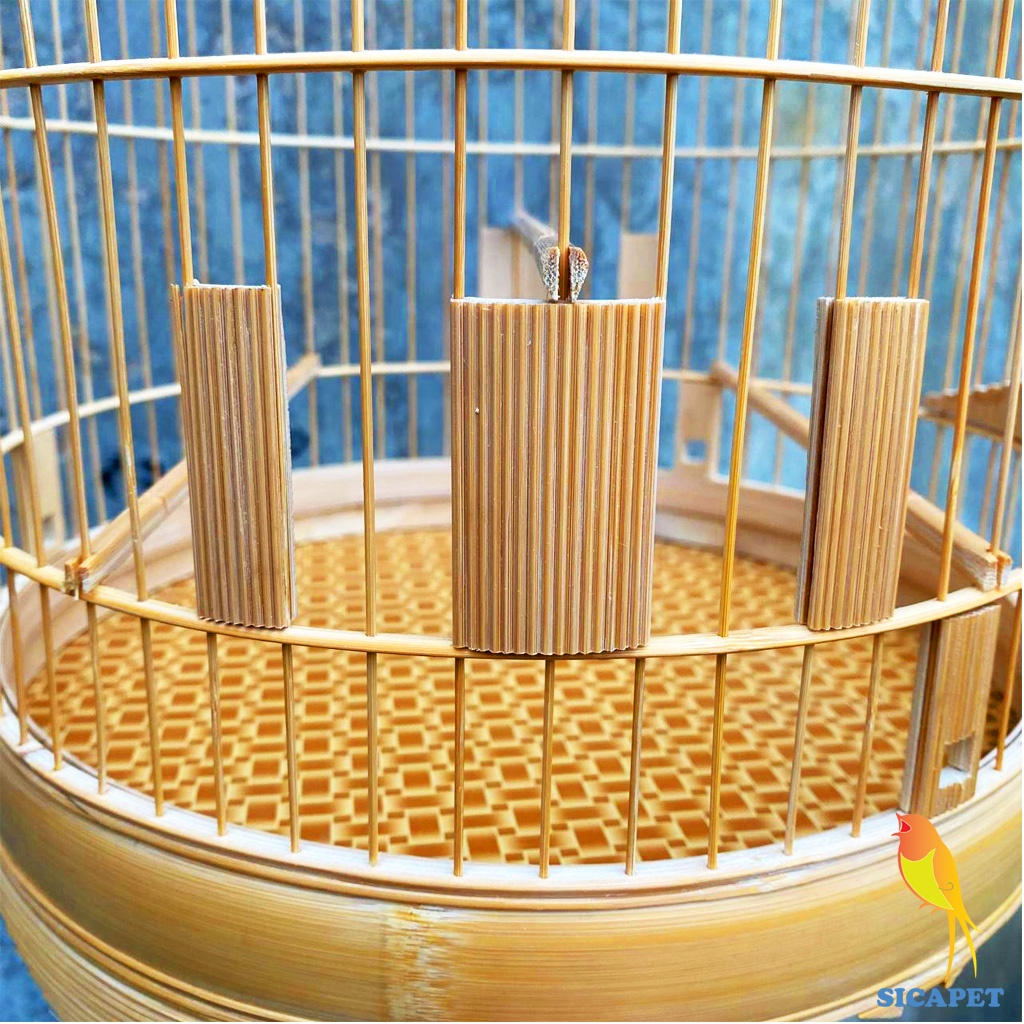 Lồng chim Khuyên, Chim Hoàng Yến, Chim Quế Lâm, Chim Chòe Than, Lồng nuôi chim Khuyên, Hoàng Yến, Quế Lâm SICAPET