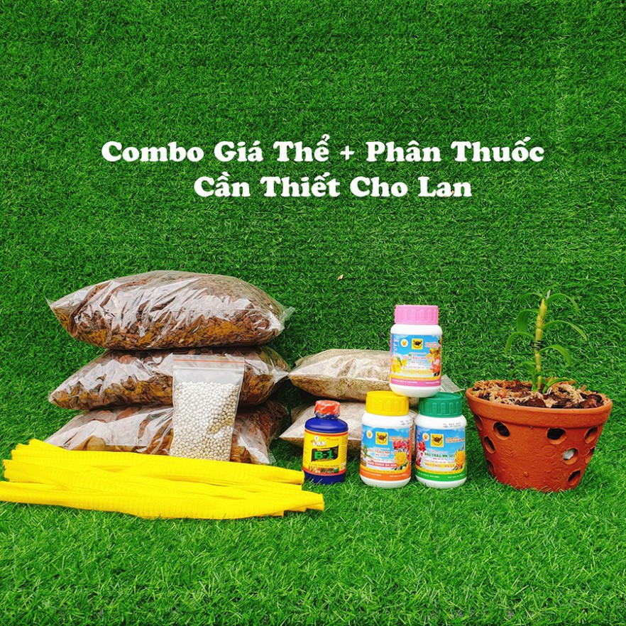 Giá Thể Trồng Lan ⭐ Chọn Bộ Đầy Đủ ⭐Vật Tư + Phân Thuốc Giá Thể Trồng 10 Chậu Lan [ Cho Người Biết Chơi ]]