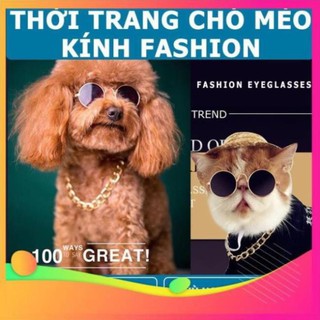 Phụ kiện chó mèo - mắt kính nhiều màu cho chó mèo