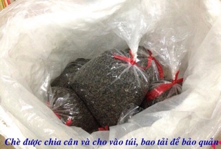  chè shan tuyết