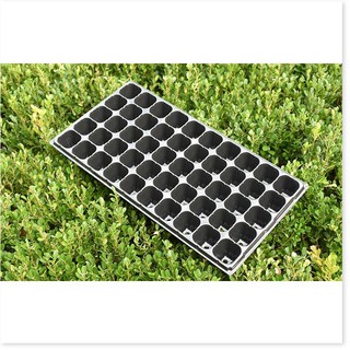 Khay nhựa ươm hạt giống, vỉ nhựa ươm cây 32 lỗ, 50 lỗ